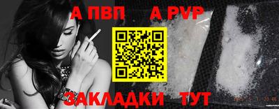 тгк Волгодонск