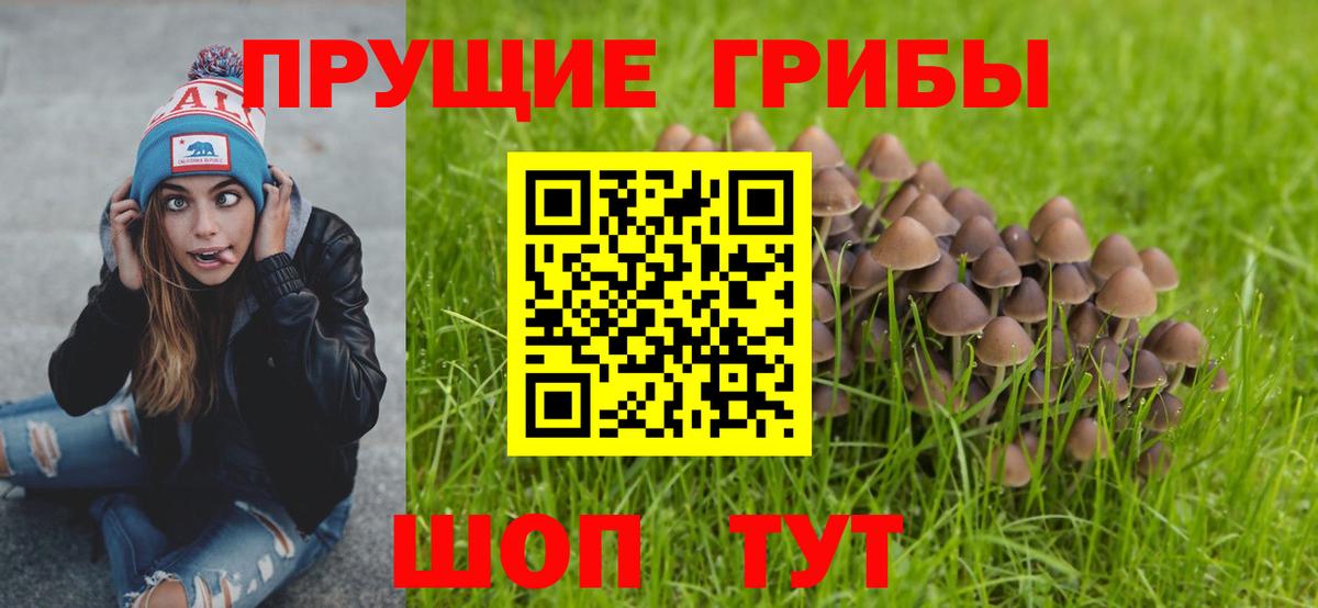 Псилоцибиновые грибы GOLDEN TEACHER  Псилоцибиновые грибы GOLDEN TEACHER  Вход с VPN  Назарово 
