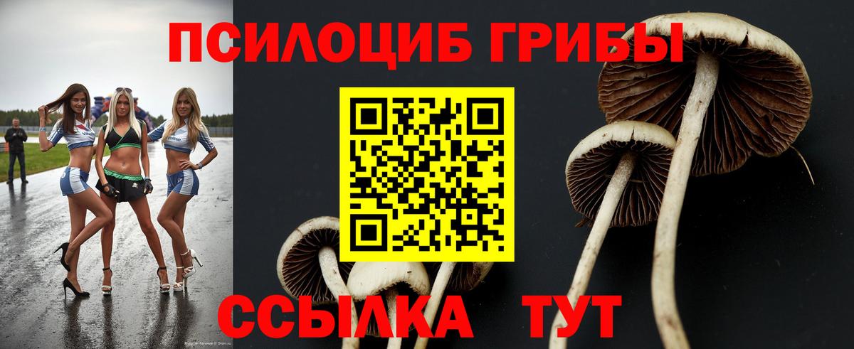 Псилоцибиновые грибы MAGIC MUSHROOMS Назарово
